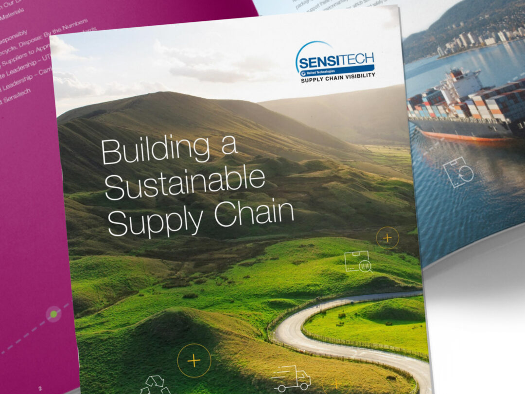 Sustainability in the supply chain