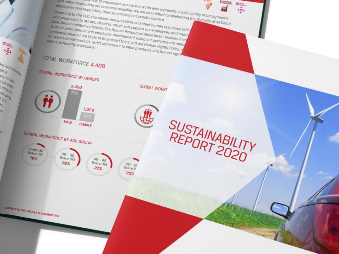 Global sustainability report