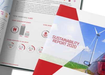 Global sustainability report 2020