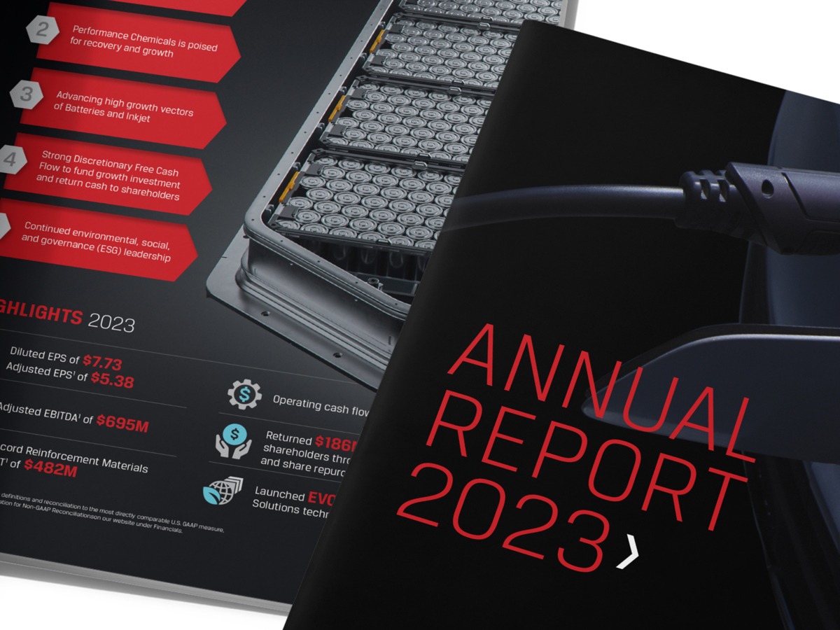 Annual report for global client