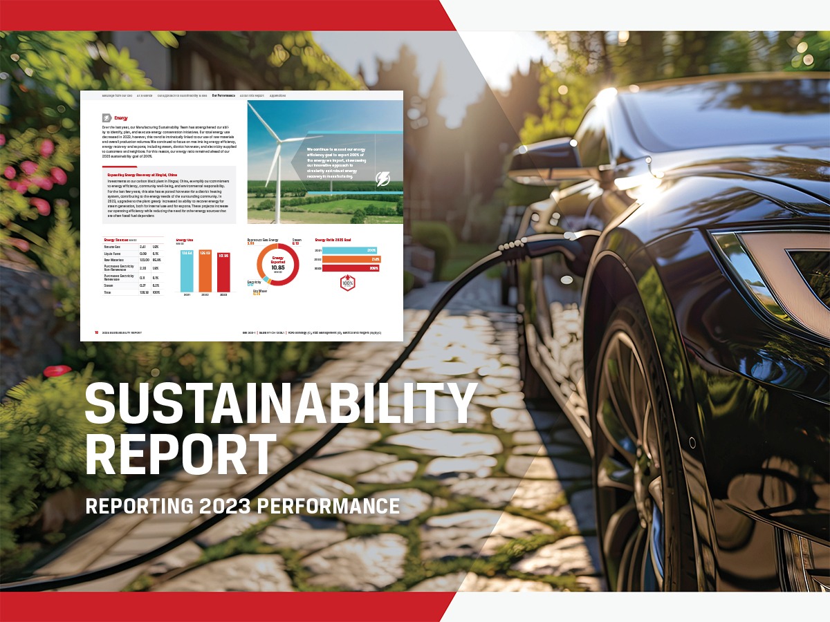 Sustainability report for industry leader