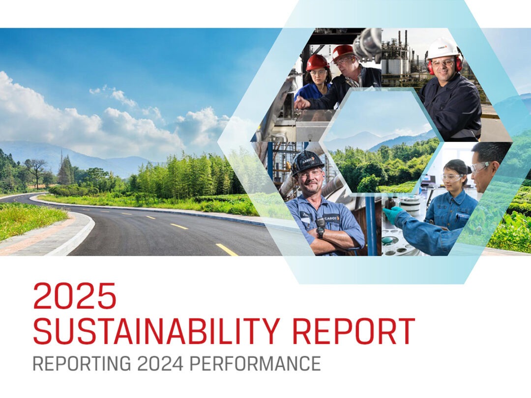 Global Sustainability Report for Industry Leader